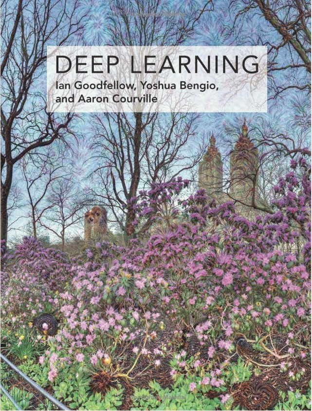 Deep Learning:Adaptive Computation and Machine Learning series